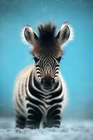 portret van een baby zebra met een blauw achtergrond. ai generatief foto