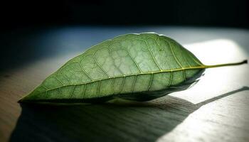 levendig groen blad aderen vitrine biologisch groei in natuur schoonheid gegenereerd door ai foto
