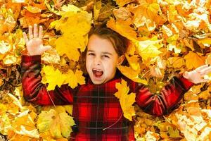 mooi weinig meisje met herfst bladeren buitenshuis foto