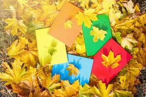 veelkleurig boeken liggen in herfst bladeren. terug naar school- concept foto