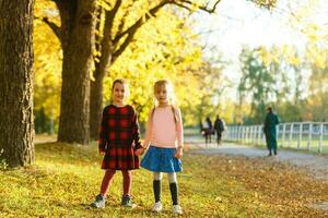 twee weinig meisjes in herfst park foto