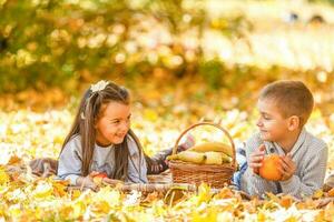 gelukkig kinderen aan het eten rood appel terwijl wandelen in herfst park foto