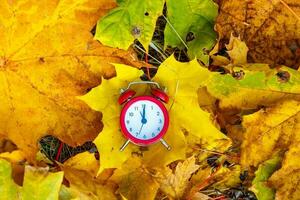 oud klok Aan herfst bladeren Aan natuurlijk achtergrond foto