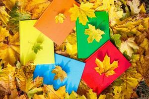 verzameling van mooi kleurrijk herfst bladeren, groente, geel, oranje, rood foto