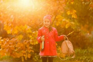 portret van een schattig weinig meisje poseren Bij de herfst park. foto