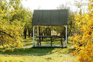 houten Prieel in de herfst park foto