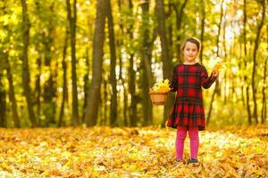 mooi weinig meisje met herfst bladeren buitenshuis foto