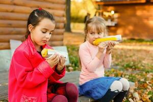 twee weinig meisje oogsten en aan het eten maïs in maïs veld. landbouw concept. foto