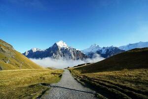 mooi visie van natuur spoor in de ochtend, Grindelwald eerst, hoogste pieken eiger, Zwitserland Alpen. voor wandelen, hiking, bergbeklimmen of natuur wandelen activiteiten. foto