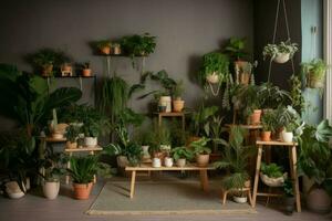 verschillend kamerplanten houten trendy. genereren ai foto