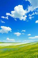 een zonovergoten weide van wilde bloemen, met een helder blauw lucht stippel met pluizig wit wolken. foto