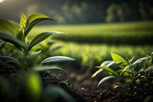 detailopname van vers groen thee bladeren buitenshuis. thee plantage. generatief ai foto