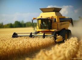 combineren oogstmachine in een tarwe veld- foto