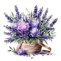 waterverf lavendel bloem boeket geïsoleerd foto