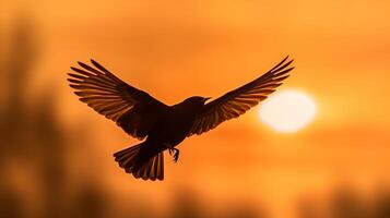 vogel vliegend Aan zonsondergang lucht ai gegenereerd foto