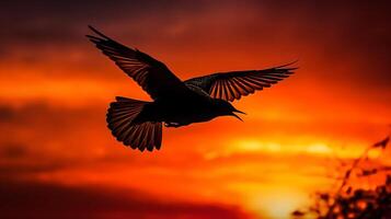 vogel vliegend Aan zonsondergang lucht ai gegenereerd foto