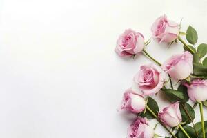 dichtbij omhoog van bloeiend roze rozen bloemen en bloemblaadjes geïsoleerd Aan wit tafel achtergrond. bloemen kader samenstelling. decoratief web spandoek. leeg ruimte, vlak leggen, top visie. ai generatief foto