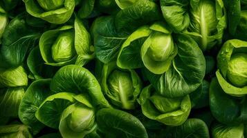 bok choy groente achtergrond ai gegenereerd foto