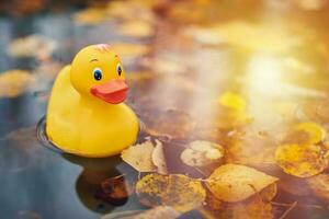 herfst eend speelgoed in plas met bladeren foto