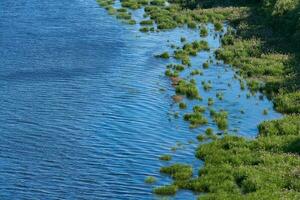 eiland zeekust, antenne top visie. zuiver, schoon en kalmte blauw water. maagd natuur. dicht groen oerwoud schiereiland, kopiëren ruimte. foto