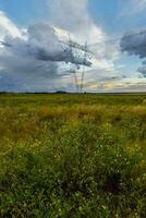 stormachtig lucht ten gevolge naar regen in de Argentijns platteland, la pampa provincie, Patagonië, Argentinië. foto