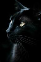 zwart kat portret gemaakt gebruik makend van generatief ai foto
