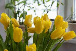 een boeket van vers geel tulpen. een boeket van tulpen Aan de tafel in voorkant van de venster met planten. voorjaar bloemen in de interieur. de concept van voorjaar of vakantie, maart 8, Internationale foto