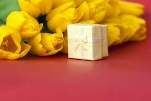 een boeket van vers geel tulpen Aan een rood achtergrond. een klein geschenk doos De volgende naar de tulpen. voorjaar bloemen. de concept van voorjaar of vakantie, maart 8, Internationale vrouwen dag, foto