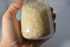 rijst- snuitkever controle en behandelingen voor de huis en keuken foto