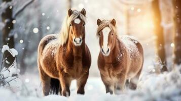 besneeuwd paarden Aan sneeuw achtergrond met leeg ruimte voor tekst foto