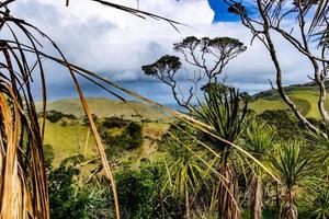 uitzicht vanaf een heuvel bij manakua heads, auckland, nieuw-zeeland