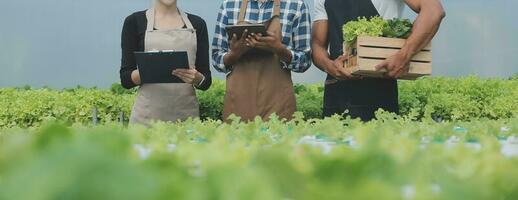 Aziatisch vrouw boer gebruik makend van digitaal tablet in groente tuin Bij serre, bedrijf landbouw technologie concept, kwaliteit slim boer. foto