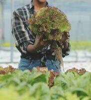 Aziatisch vrouw boer gebruik makend van digitaal tablet in groente tuin Bij serre, bedrijf landbouw technologie concept, kwaliteit slim boer. foto