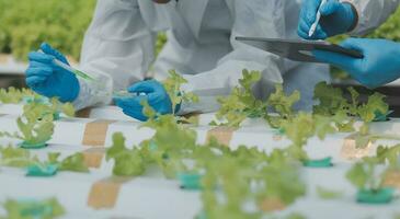 Aziatisch vrouw boer gebruik makend van digitaal tablet in groente tuin Bij serre, bedrijf landbouw technologie concept, kwaliteit slim boer. foto