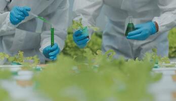 Aziatisch vrouw boer gebruik makend van digitaal tablet in groente tuin Bij serre, bedrijf landbouw technologie concept, kwaliteit slim boer. foto