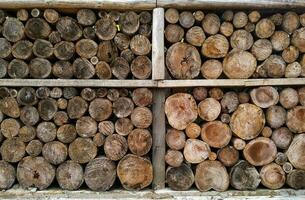 abstract achtergrond van besnoeiing en gestapeld hout. structuur en patroon van stack logboek. foto