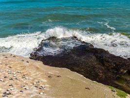 golven slaan aan wal op muriwai beach, auckland, nieuw-zeeland