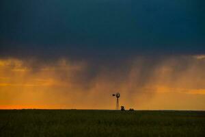 een windmolen in een veld- foto