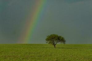 een regenboog in de lucht foto