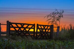 een poort in de gras foto