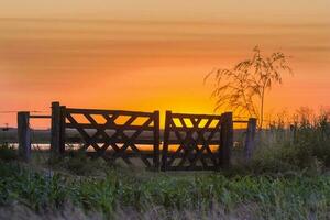 zonsondergang aan het meer foto