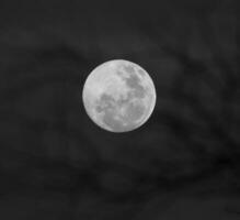 een vol maan is gezien in de lucht met een Purper en blauw achtergrond foto