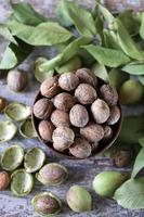 walnoten in een kom. walnootblaadjes walnoten in een groene schil foto