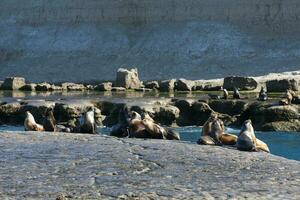 zegels in Patagonië foto