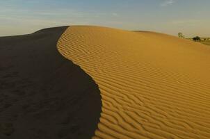 zand duinen in pampa, Argentinië foto