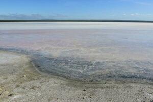 zout veld- in dunaliella zoutoplossing, Argentinië foto