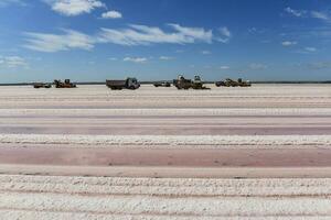 zout veld- in dunaliella zoutoplossing, Argentinië foto