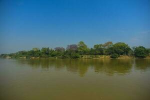 braziliaans pantanal landschap visie foto