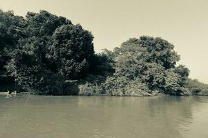 braziliaans pantanal landschap visie foto