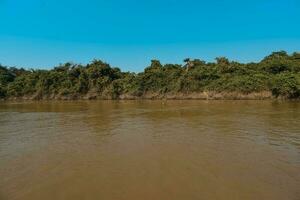 Braziliaans pnataal landschap visie foto